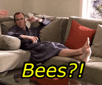 Game-evelopment GIFs - Get the best GIF on GIPHY