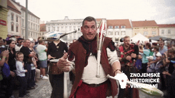 Performance Juggling GIF by Znojemská Beseda