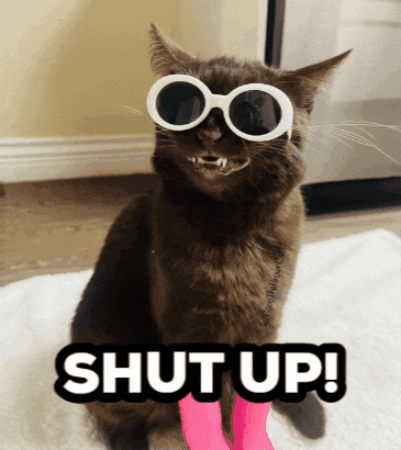 Cool Cat Shut Up GIF by Emaze Media