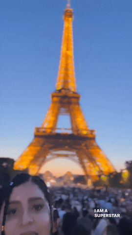 France Travel GIF