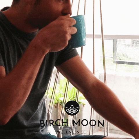birchmoon tea cup tea time chaga GIF