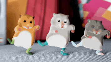 Dance Hamster GIF by Dedoles