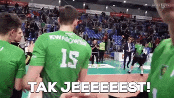 Victory Jan GIF by GKS Katowice