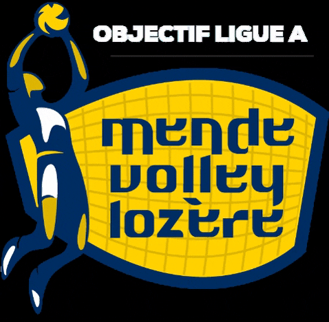 Volleyball Mvl GIF by Mende Volley Lozere