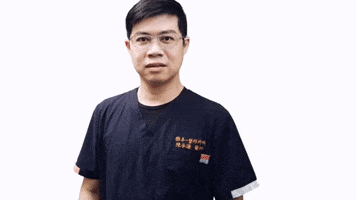 真的假的 GIF
