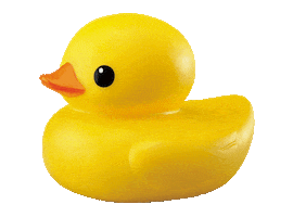 Animated Sticker