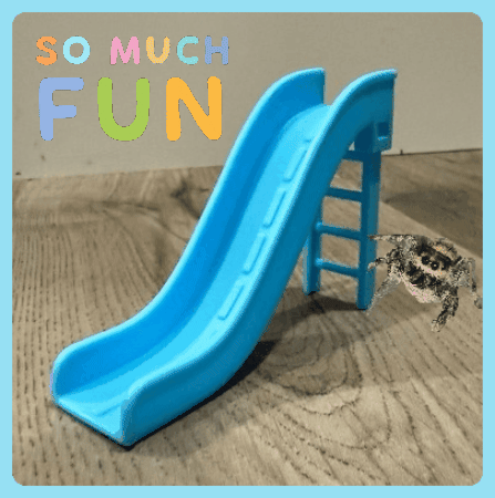 Fun GIF