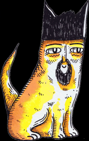 crazy cat peruano GIF by cake