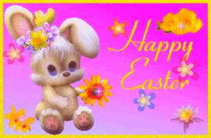 Bunny GIF