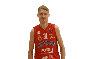 No You Dont Sticker by Bisons