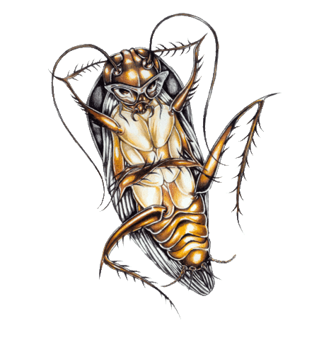 Cockroach Roach Sticker by Miya Folick