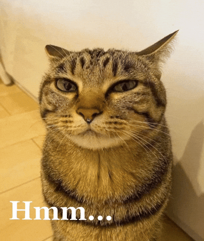 Cat Thinking GIF