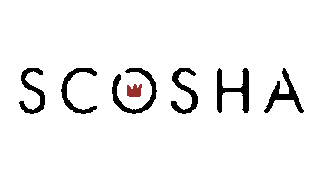 Jewelry Crown Sticker by Scosha