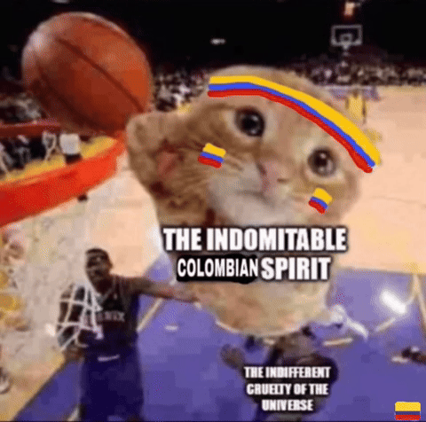 Basketball GIF