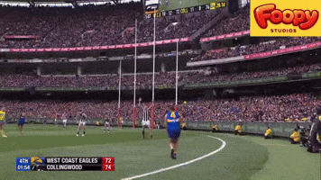 Dom Sheed Afl GIF
