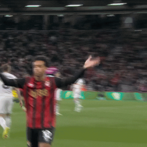 Encouraging Premier League GIF by AFC Bournemouth