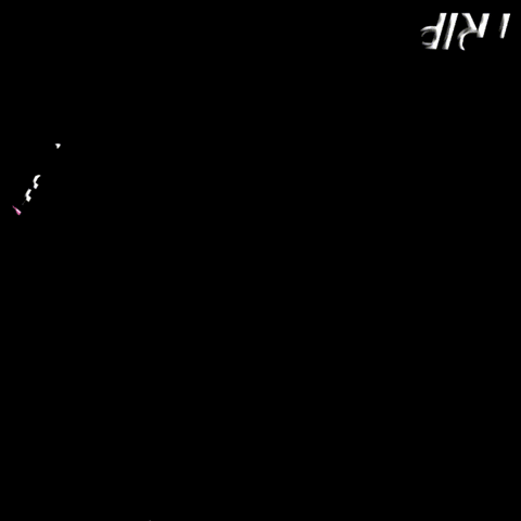 Megatrip GIF by MegaGen Implant