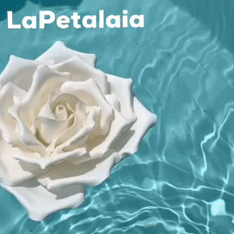 Rosa Gigante GIF
