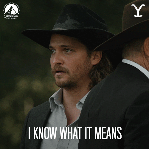 I Know What It Means Paramount Network GIF by Yellowstone