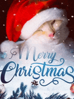 Merry Christmas Cat GIF