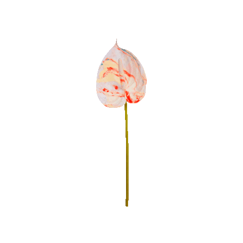 ACID.FLWRS Sticker