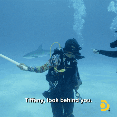 Tiffany Haddish GIF by Shark Week