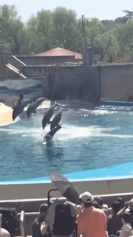 App Share GIF by Daily Mail Online