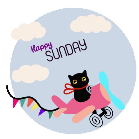 Happy Sunday Sticker by Babybluecat