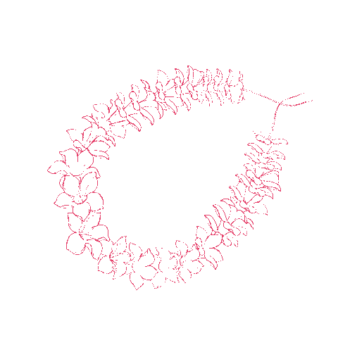 naupakastore Sticker