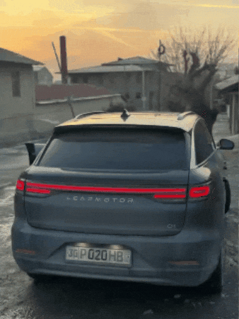 Samar Muxa GIF