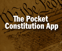 Constitution GIF