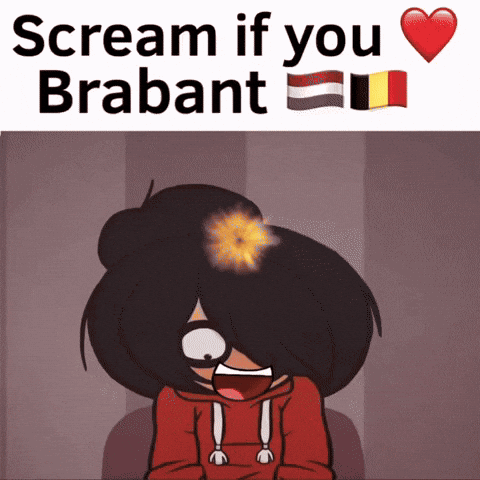 Netherlands Belgium GIF