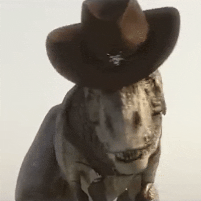 Cowboy GIF