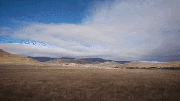 going there youtube GIF by SoulPancake
