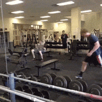 Gym GIFs - Get the best GIF on GIPHY Gym GIFs - Get the best GIF on GIPHY