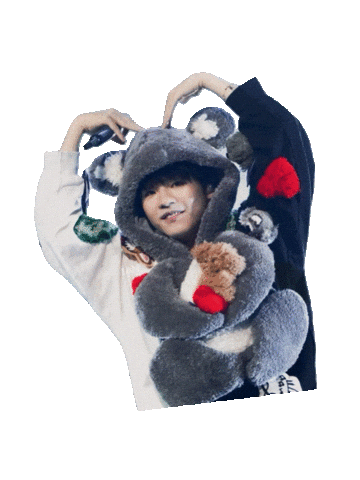 Koala Gotu Sticker