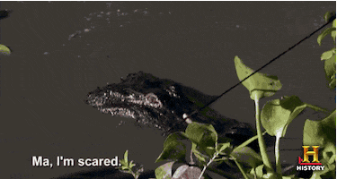 scared alligator GIF by Swamp People