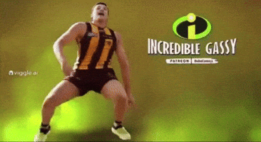 Afl Footy GIF