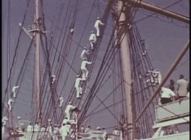 Going Up Coast Guard GIF by US National Archives