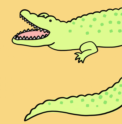 Alligator Gator GIF