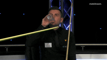 Mark Selby Running GIF by Matchroom