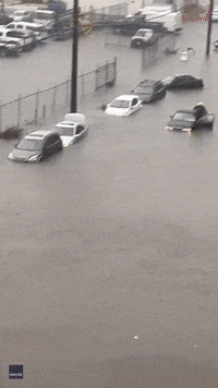 Man Climbs Through Window to Leave Vehicle Stranded in Floodwater
