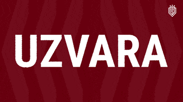 Uzvara Win GIF by Dinamo Riga