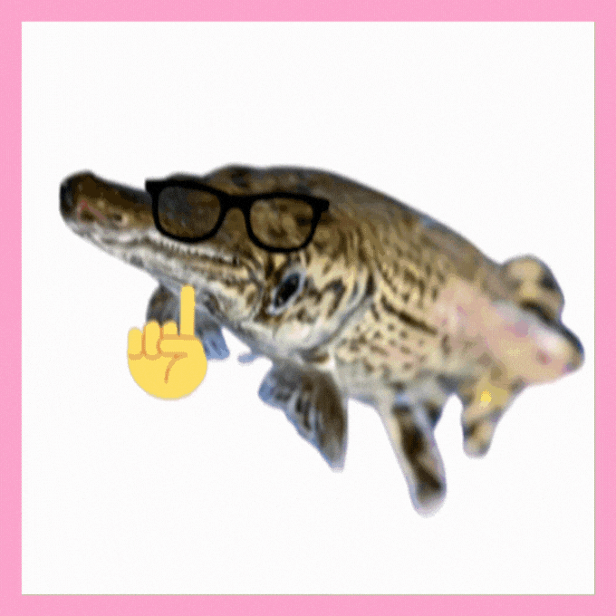 Fish Meme GIF by Furrend