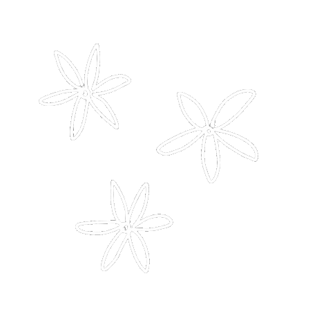 Flowers Daisies Sticker
