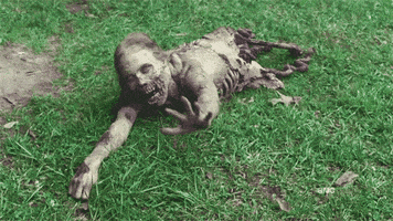 TV gif. A creepy, rotting zombie from The Walking Dead lies on the ground reaching toward us, unable to move because it has been torn in half.