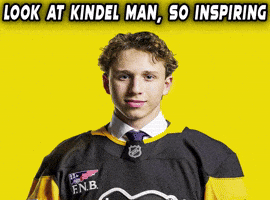 Pittsburgh Penguins GIF