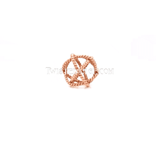 Tensor Field Generator GIF