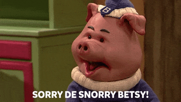 Sorry Pig GIF by Studio 100