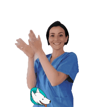 amicaveterinaria Sticker